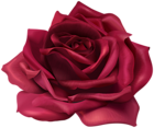 Flower Rose Transparent Image