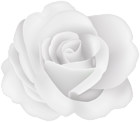 Flower Rose White Transparent Image