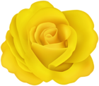 Flower Rose Yellow Transparent Image