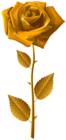 Gold Rose with Steam Transparent Image