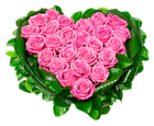 Heart of Pink Roses PNG Clipart Picture