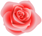 Large Red Rose Clipart