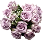 Light Purple Rose Bouquet Clipart