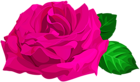 Magenta Rose with Leaves PNG Clipart