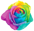 Multicolored Rainbow Rose Transparent PNG Clip Art Image