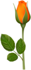 Orange Rose Bud PNG Clipart