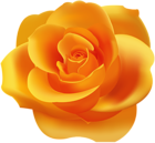 Orange Rose PNG Clip Art