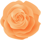 Orange Rose PNG Decorative Clipart