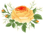 Orange Rose with White Flowers PNG Clip Art Image