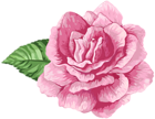 Pink Art Rose PNG Clip Art Image