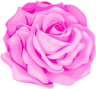 Pink Art Rose PNG Clipart