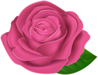 Pink Beautiful Rose with Leaf PNG Clipart