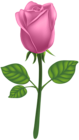 Pink Deco Rose PNG Clip Art Image