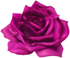 Pink Flower Rose Transparent Image