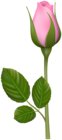 Pink Rose Bud PNG Clipart