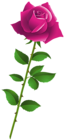 Pink Rose Cartoon Style PNG Clipart