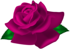 Pink Rose Deco PNG Clip Art Image