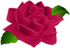 Pink Rose Decor PNG Transparent Clipart