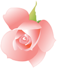 Pink Rose Decorative Transparent Image
