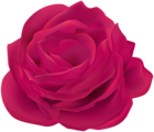 Pink Rose Flower Clip Art Image