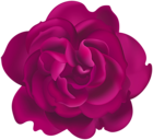 Pink Rose Flower Clipart