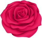 Pink Rose Flower Transparent Clip Art Image