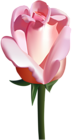 Pink Rose PNG Clip Art Image