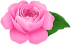 Pink Rose PNG Decorative Clipart