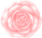 Pink Rose PNG Flower Clipart
