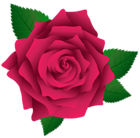 Pink Rose PNG Image Clipart