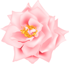 Pink Rose Transparent Clip Art
