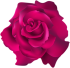 Pink Rose Transparent Clip Art PNG Image