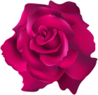 Pink Rose Transparent Clip Art PNG Image | Gallery Yopriceville - High