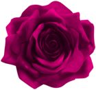 Pink Rose Transparent Image