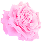 Pink Rose Watercolor PNG Clipart