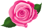 Pink Rose with Leaves PNG Clip Art Image