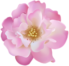 Pink Rosebush Flower Transparent Clip Art Image | Gallery Yopriceville ...