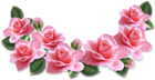 Pink Roses Decoration PNG Clipart Image