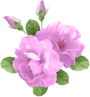 Pink Roses Transparent PNG Clip Art