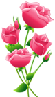 Pink Roses Transparent PNG Clip Art Image