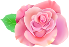 Pink Single Rose PNG Clip Art Image