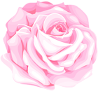 Pink Soft Art Rose PNG Clipart