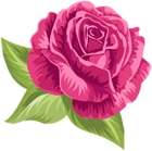Pink Vintage Rose PNG Clip Art
