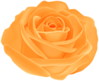 Pretty Orange Rose PNG Transparent Clipart