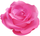 Pretty Pink Rose PNG Clipart