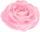 Pretty Pink Rose PNG Transparent Clipart