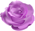 Pretty Purple Rose PNG Clipart