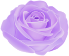 Pretty Purple Rose PNG Transparent Clipart