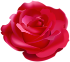 Pretty Rose Red PNG Clipart