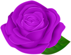 Purple Beautiful Rose with Leaf PNG Clipart